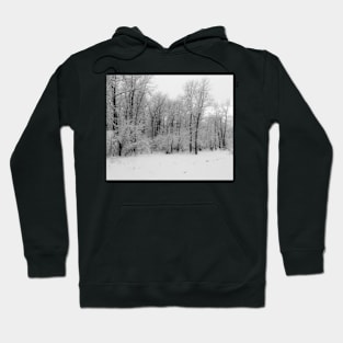 Winter in black and white. Hoodie